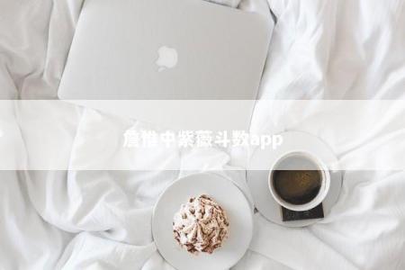 詹惟中紫薇斗数app