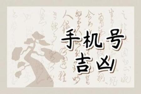 123手机吉凶测试