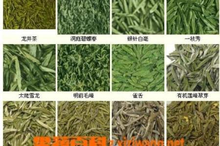栎树百科：品种特征，栽培技巧与养护要点