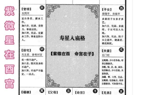 紫薇斗数星辰详解