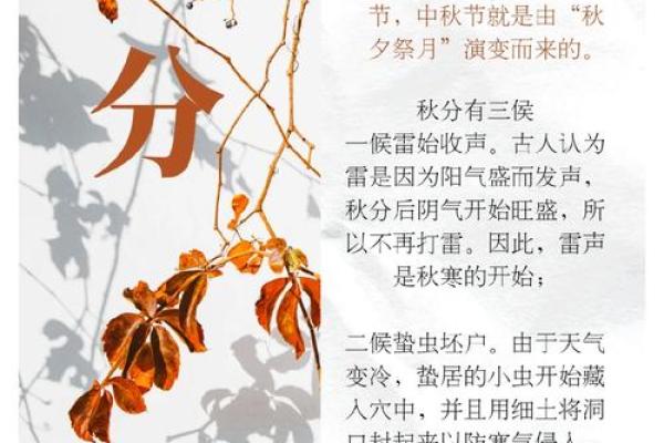 秋分前节气 秋分是什么节日