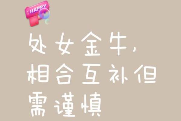 处女男和金牛女配对指数