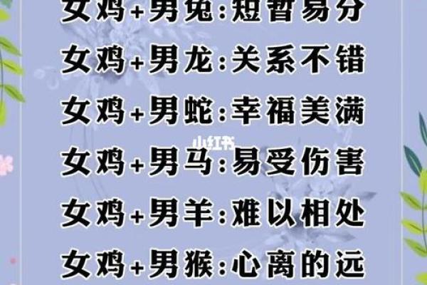 婚姻属相配对大全很准免费 十二生肖婚姻配对表