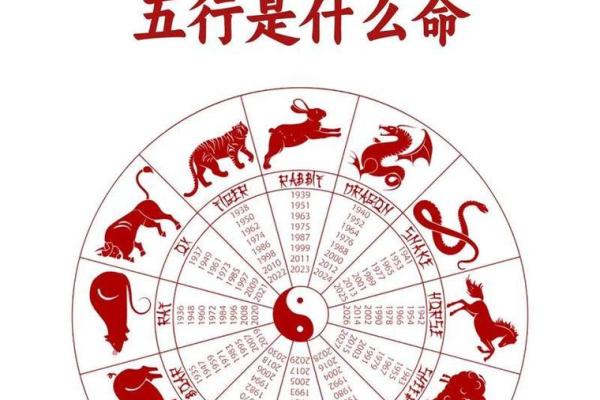 最准的12生肖配对表