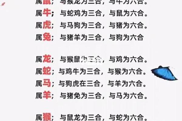 最准的12生肖配对表