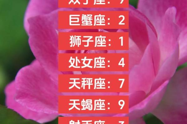 白羊金牛和狮子处女座配对怎么样