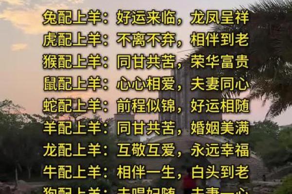 羊跟猴婚姻相配吗 羊和猴配对是否合适
