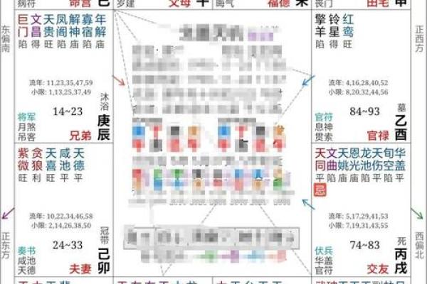 紫薇斗数中的加什么意思