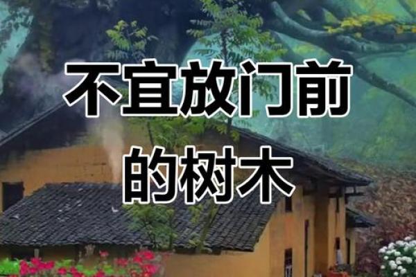 大门正确栽树方位，农村大门口栽树有讲究吗？
