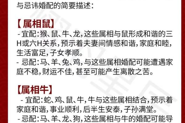 生肖属相配对表 十二生肖属相配对表