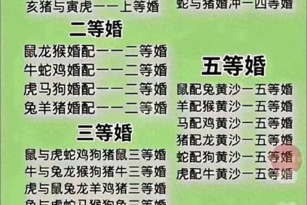 婚姻属相配对查询属马 哪些属相与属马最相配
