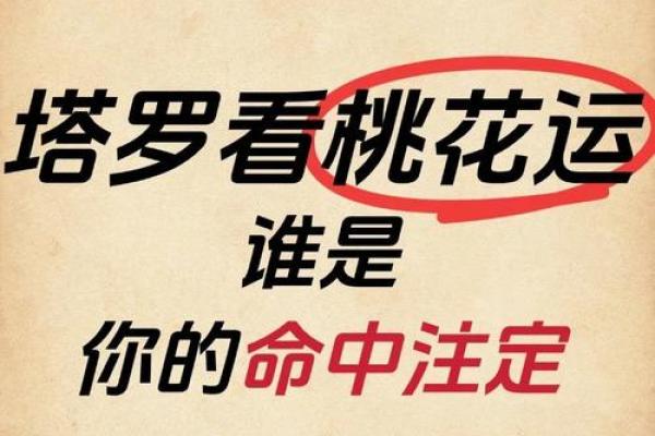 塔罗测试：十二月桃花运？