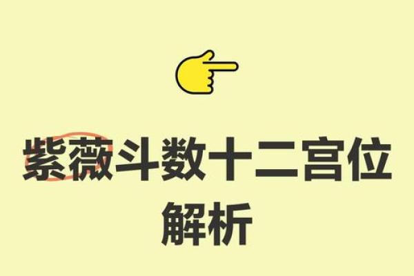 斗数紫薇阁
