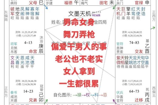 斗数紫薇阁