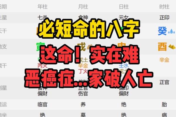 八字疾病综合论断