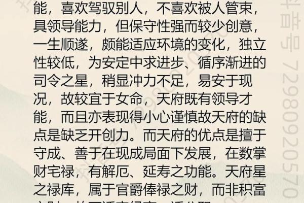 天府星在紫微斗数中的含义