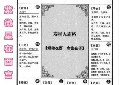 紫薇斗数星辰详解