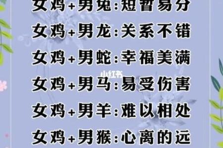 婚姻属相配对大全很准免费 十二生肖婚姻配对表