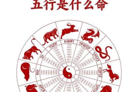 最准的12生肖配对表
