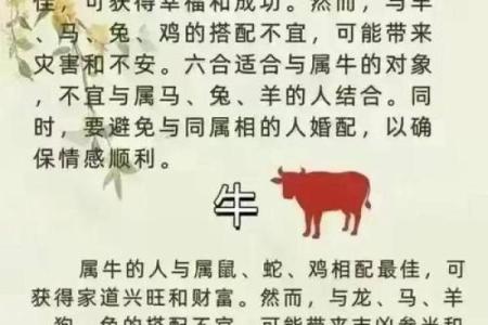 12生肖婚配属相配对查询，生肖配对查询表