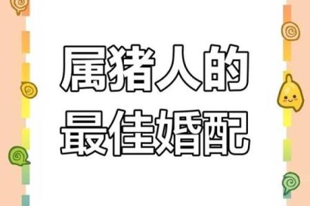 猪的生肖配对
