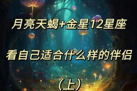 天蝎男2024年遇到的星座女 天蝎男会宠爱的星座
