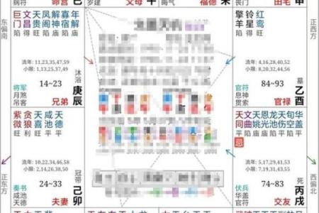 紫薇斗数中的加什么意思