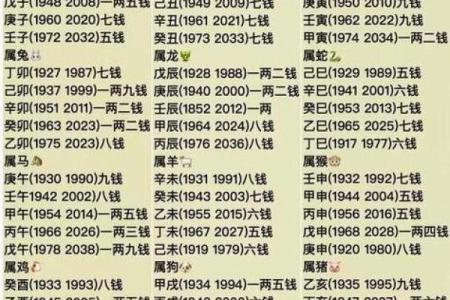 怎样算命几钱几两