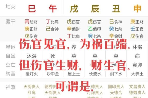 手机下载紫薇斗数