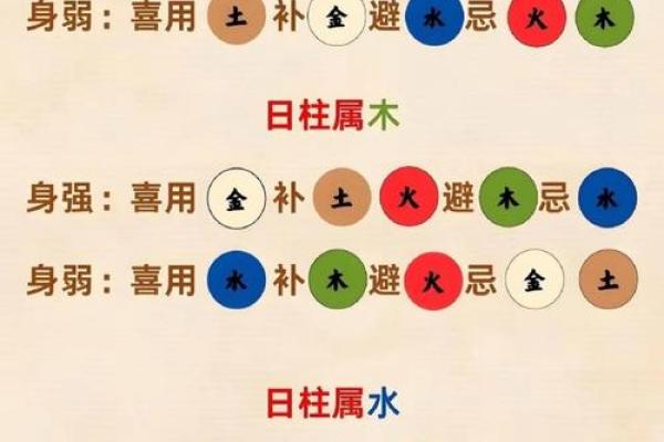 什么是五行八字