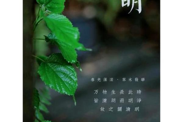 清明节是传统的重大春祭节日