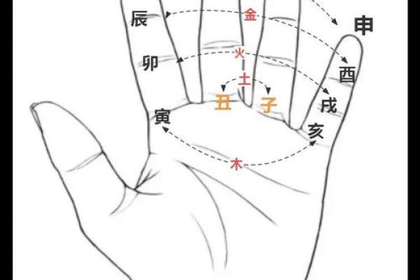 手指算命,手指掐算算命图解