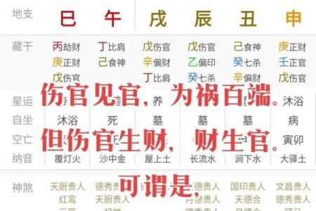 手机下载紫薇斗数