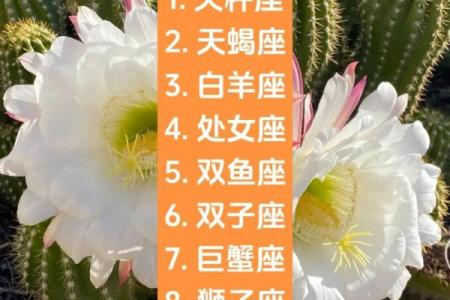 天秤和天秤配对合适吗 天秤男为什么会爱天秤女