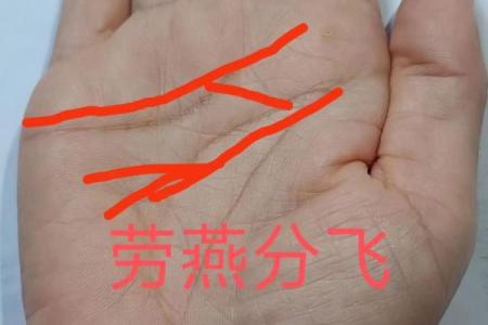 《手相学习百科》：感情线