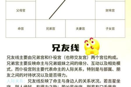 紫薇斗数怎么看分家
