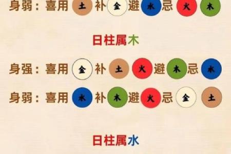 什么是五行八字