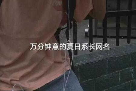 算命先生隐含意思的网名