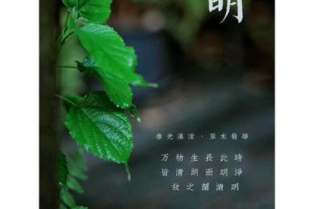 清明节是传统的重大春祭节日