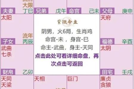 紫薇斗数与八字宫位