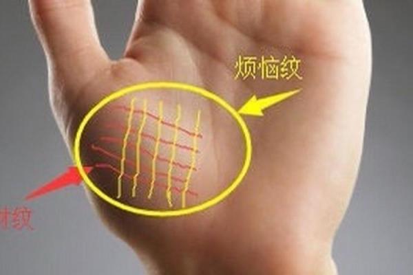 《手相学习百科》：拇指