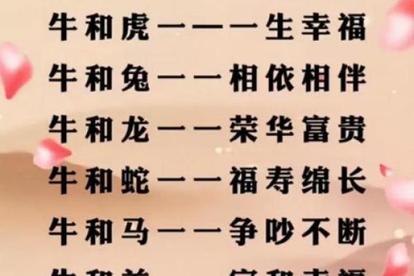 属牛女的婚姻配对更佳属相
