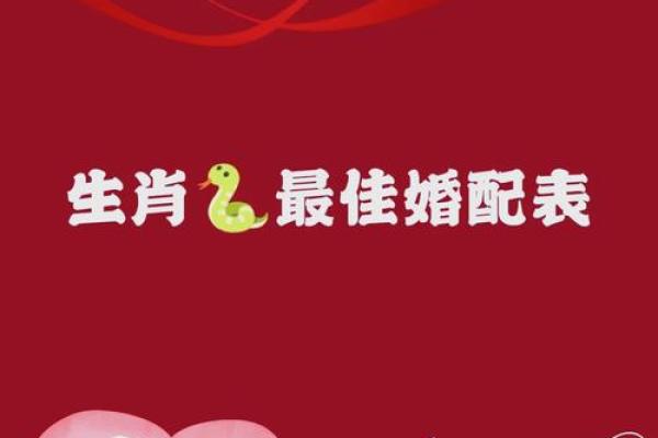 生肖蛇和生肖猪能够配对吗