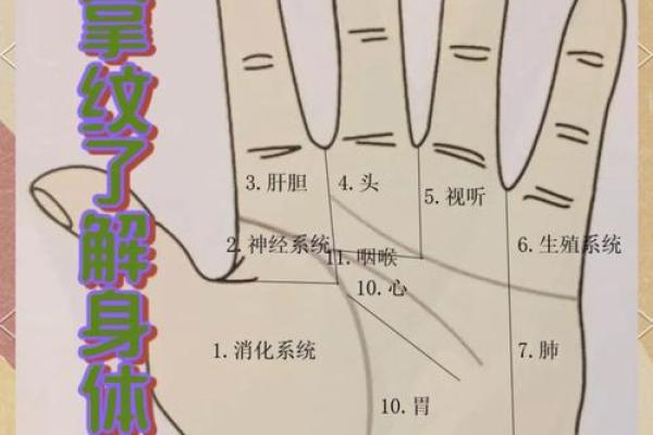 《手相学习百科》：手相看爱情