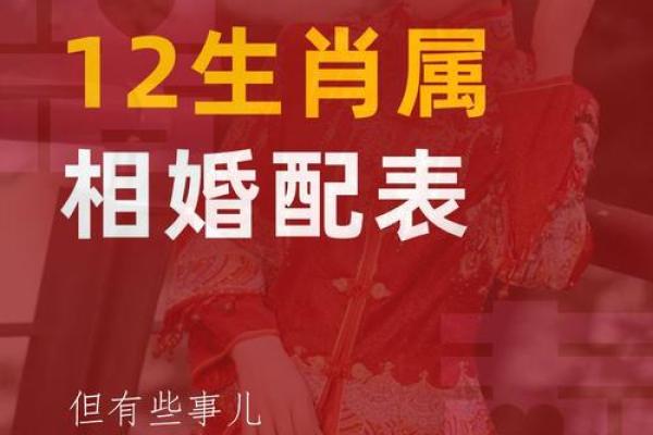2005年属什么生肖配对最好,2005年属鸡的属相婚配表