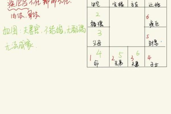紫微斗数诸星落命宫之:生年岁前十二神详解 紫微斗数诸星落命宫之:生年岁前十二神详解