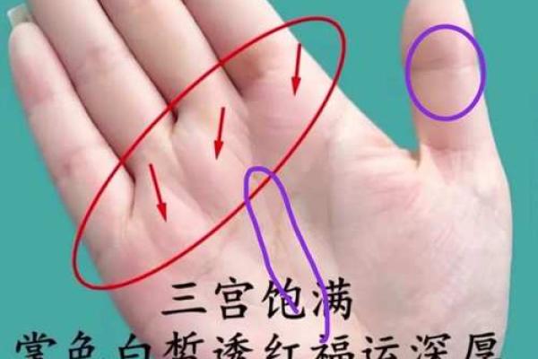 手相木星环算命解析 手相木星环算命解析