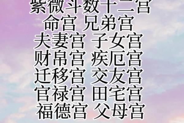 生年紫微斗数 紫薇斗数生年忌？
