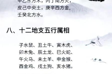 梅花易数与八字命理的区别