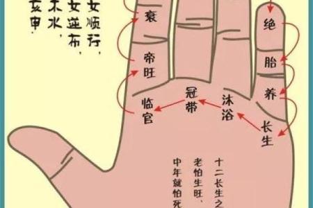 《手相学习百科》：拇指